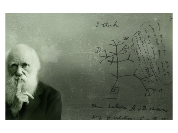 Titelbild: Institut für Ökologie und Evolution Titelbild: Institut für Ökologie und Evolution