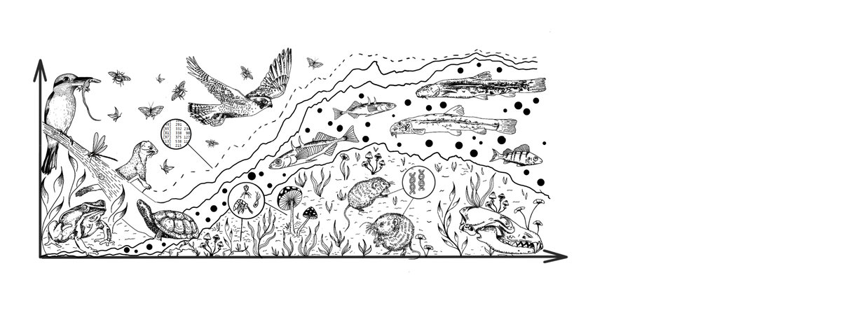 Titleimage: Institute of Ecology and Evolution